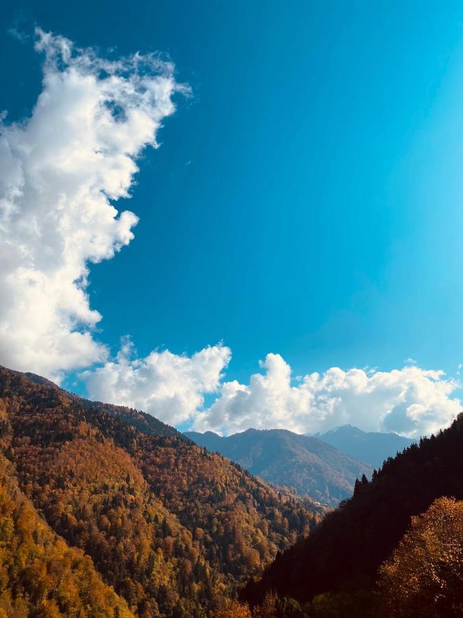 Seyr-I Cennet Dag Evleri Çamlıhemşin Buitenkant foto