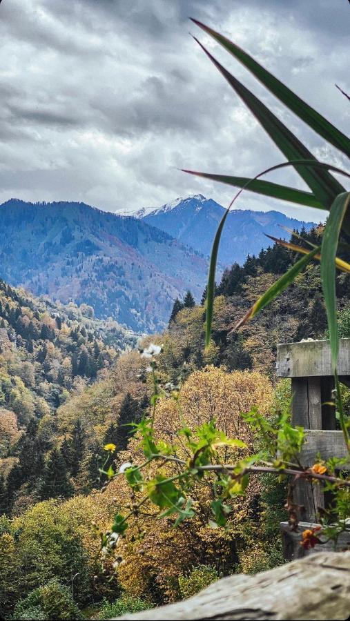 Seyr-I Cennet Dag Evleri Çamlıhemşin Buitenkant foto