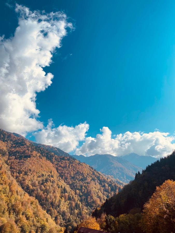 Seyr-I Cennet Dag Evleri Çamlıhemşin Buitenkant foto