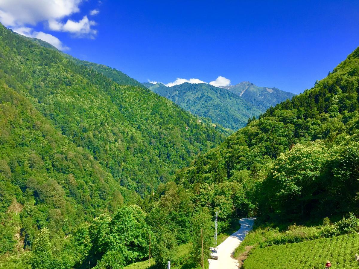 Seyr-I Cennet Dag Evleri Çamlıhemşin Buitenkant foto